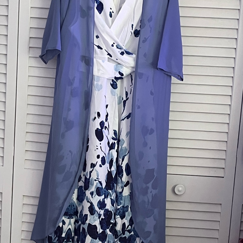 Elegant Blue Floral Dress with Sheer Overlay
